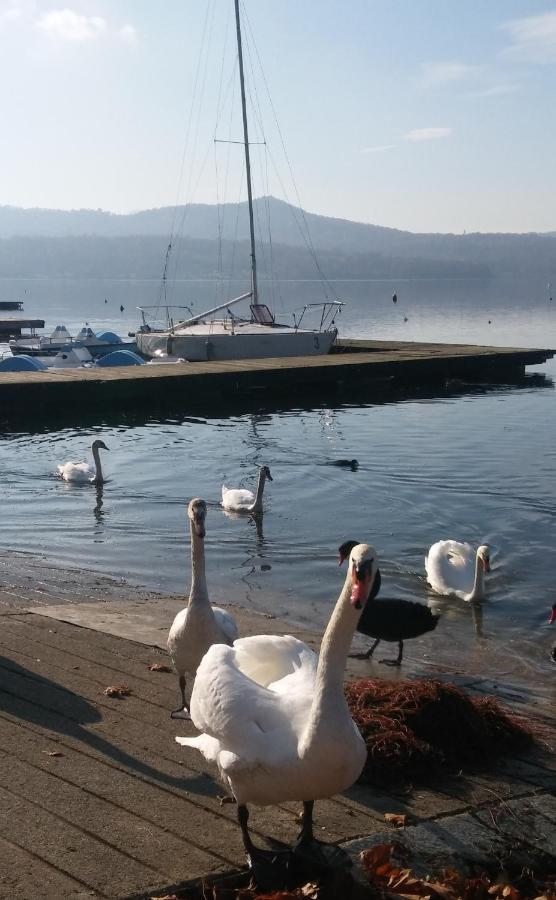 Appartamento Doppi Bagni Sei Posti Letto Viverone Exterior foto