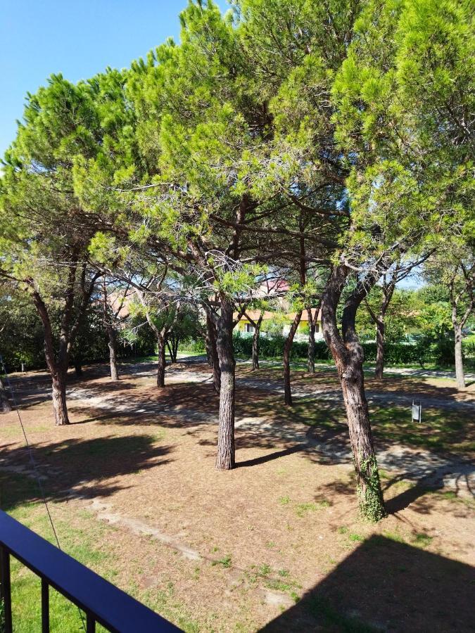 Appartamento Doppi Bagni Sei Posti Letto Viverone Exterior foto
